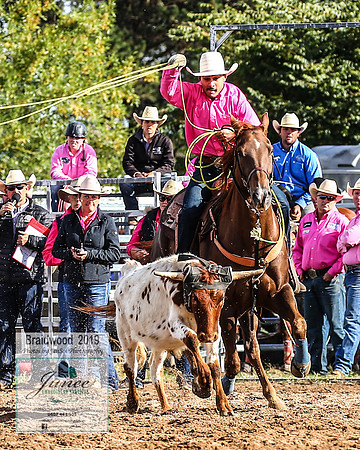 BraidwoodRodeo2019_0622