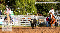 BraidwoodRodeo2019_0033