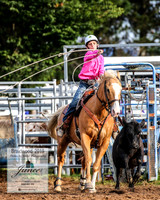 BraidwoodRodeo2019_0285