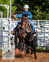 BraidwoodRodeo2019_0136