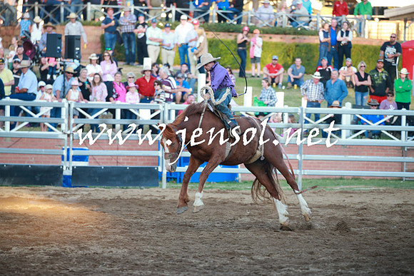 CoomaRodeo2016_2557