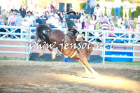 CoomaRodeo2016_2380