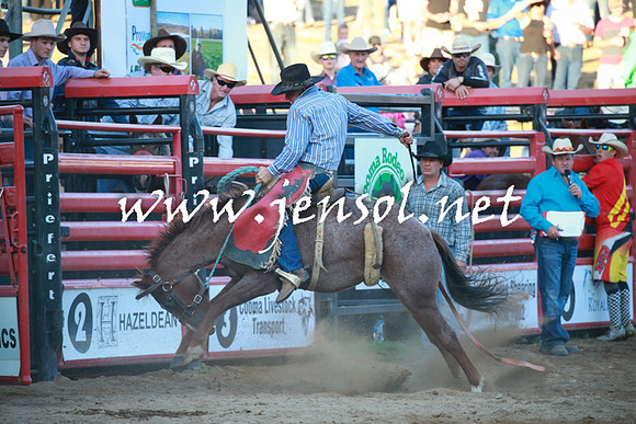CoomaRodeo2016_2445