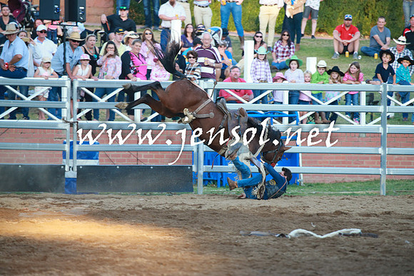 CoomaRodeo2016_2491
