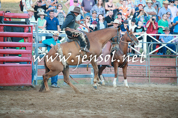 CoomaRodeo2016_2679