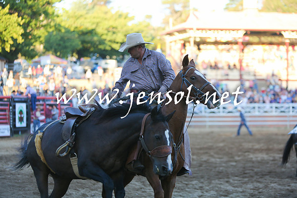 CoomaRodeo2016_0216