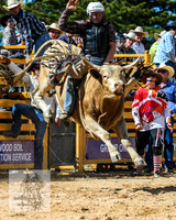 BraidwoodRodeo2015_2198