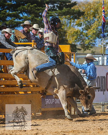 BraidwoodRodeo2015_2413