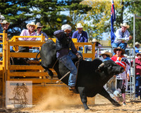 BraidwoodRodeo2015_2103