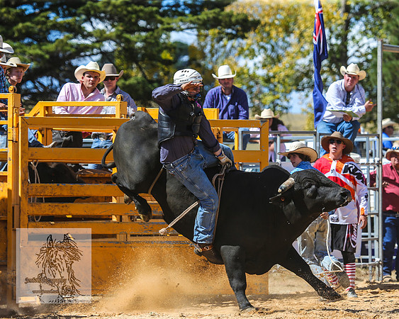 BraidwoodRodeo2015_2103
