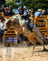 BraidwoodRodeo2015_2150
