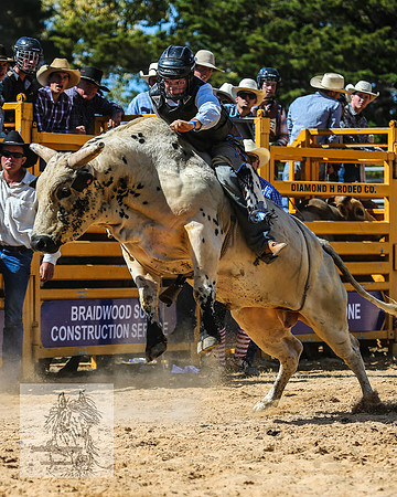 BraidwoodRodeo2015_2150