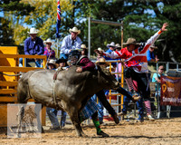 BraidwoodRodeo2015_2287