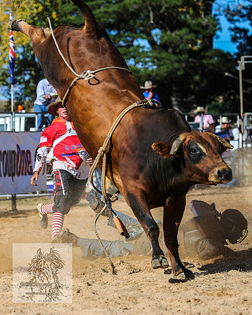 BraidwoodRodeo2015_3541