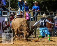 BraidwoodRodeo2015_2143