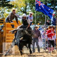 BraidwoodRodeo2015_1785