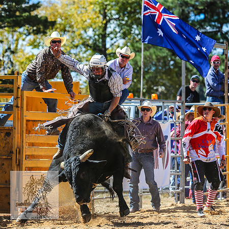 BraidwoodRodeo2015_1785