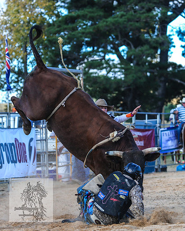 BraidwoodRodeo2015_3322