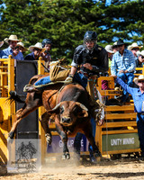 BraidwoodRodeo2015_2249