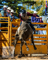 BraidwoodRodeo2015_2279