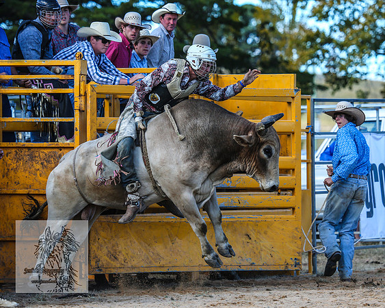 BraidwoodRodeo2015_3333