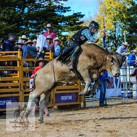 BraidwoodRodeo2015_3501