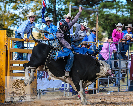 BraidwoodRodeo2015_3424