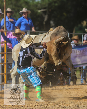 BraidwoodRodeo2015_2421