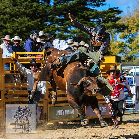 BraidwoodRodeo2015_3536