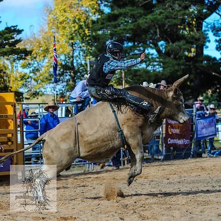 BraidwoodRodeo2015_3517