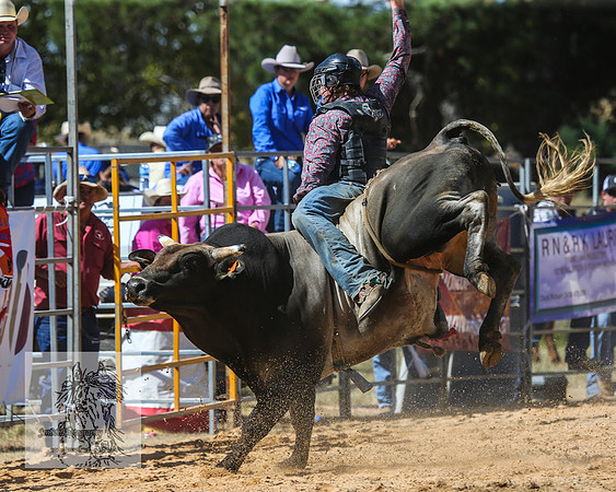 BraidwoodRodeo2015_2115