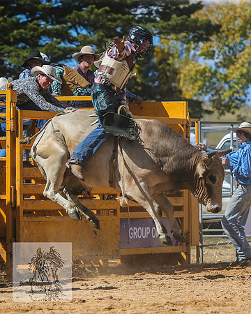 BraidwoodRodeo2015_2398