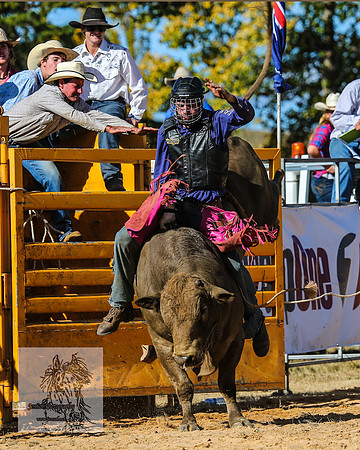 BraidwoodRodeo2015_3552