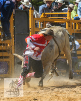 BraidwoodRodeo2015_2189