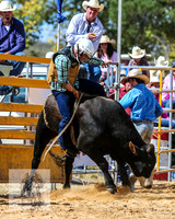 BraidwoodRodeo2015_2345