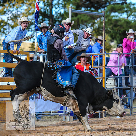BraidwoodRodeo2015_3447