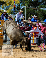 BraidwoodRodeo2015_2307