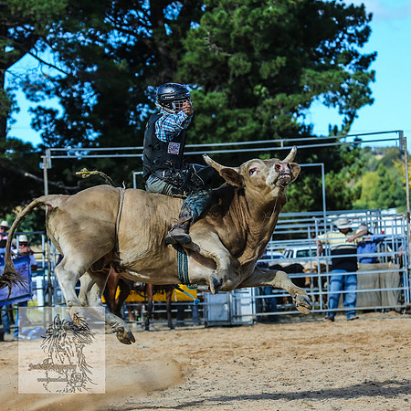 BraidwoodRodeo2015_3529