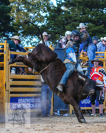 BraidwoodRodeo2015_3299