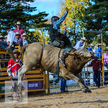 BraidwoodRodeo2015_3500