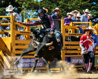BraidwoodRodeo2015_2081