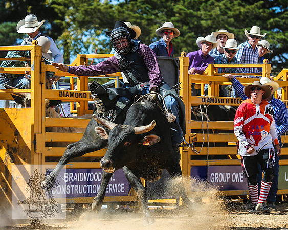 BraidwoodRodeo2015_2081