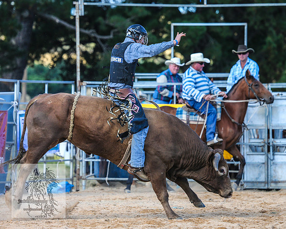 BraidwoodRodeo2015_3367