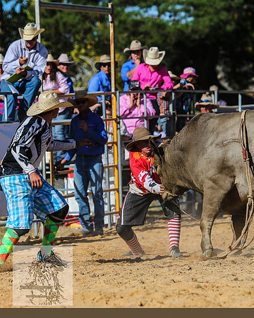 BraidwoodRodeo2015_3577