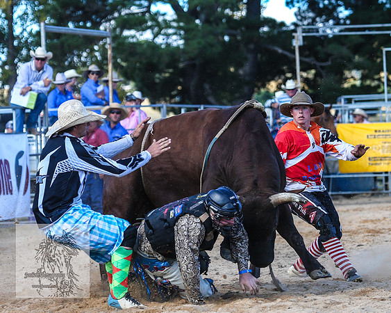 BraidwoodRodeo2015_3327