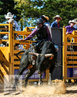 BraidwoodRodeo2015_2079