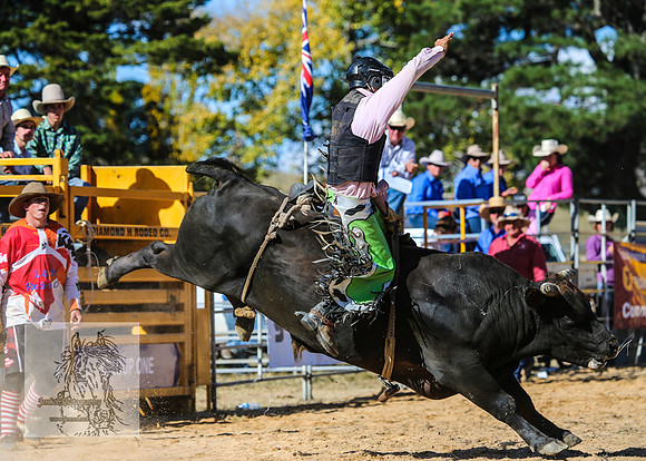 BraidwoodRodeo2015_3247