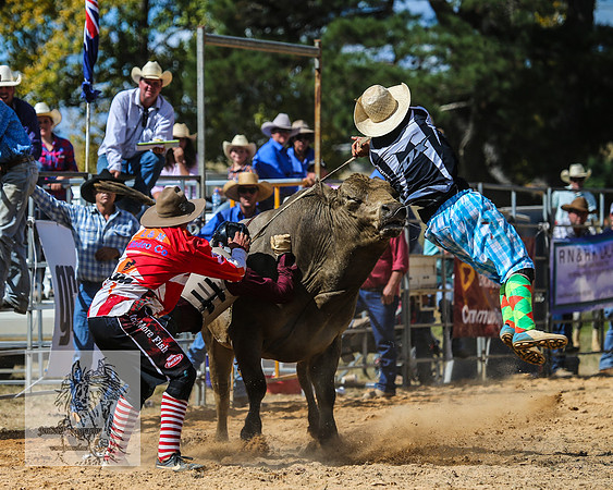 BraidwoodRodeo2015_2328