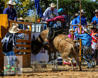 BraidwoodRodeo2015_2124