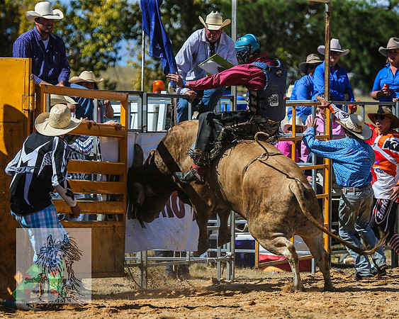 BraidwoodRodeo2015_2124